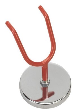 Kannuteline (magneetti)